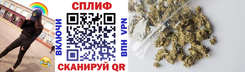 Где продают наркотики Дятьково Псилоцибиновые грибы  Cocaine  A-PVP  Гашиш  Бошки Шишки 