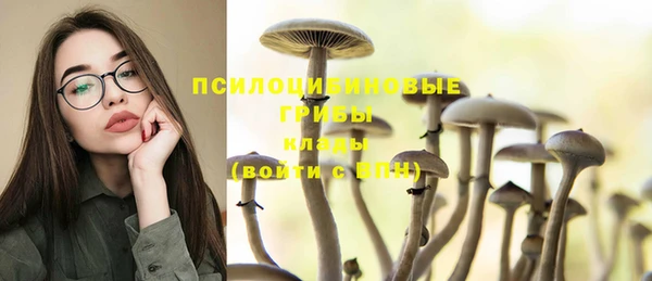 не бодяженный Абинск