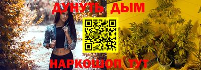 дживик Бийск