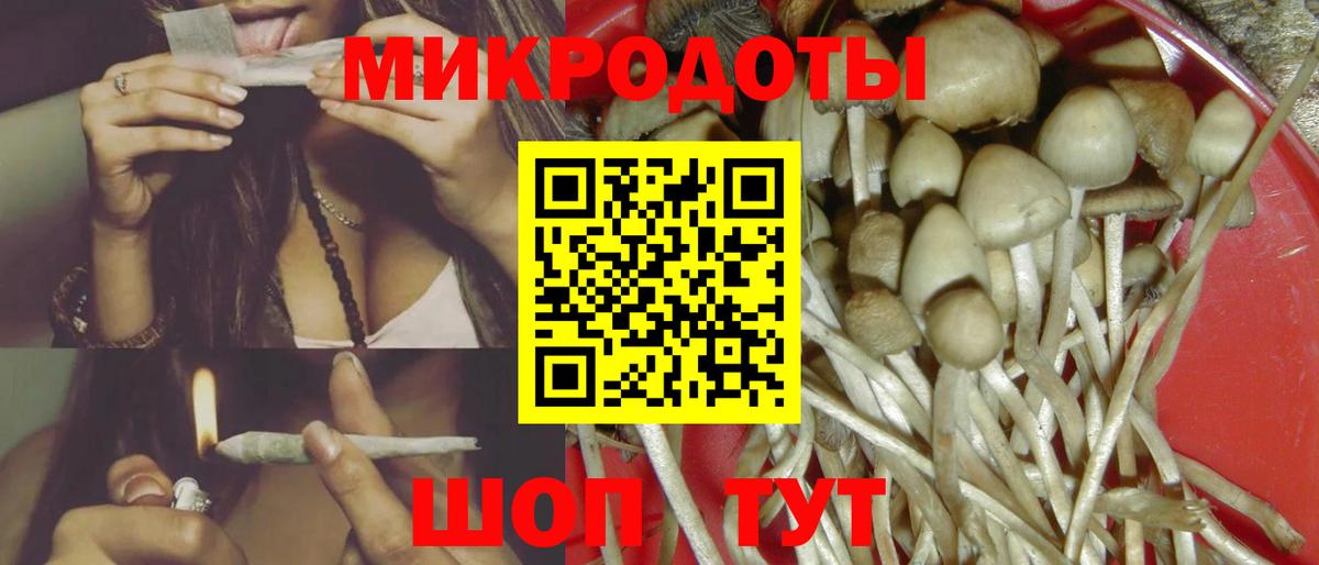 Псилоцибиновые грибы мицелий  Вход с VPN  Дятьково 