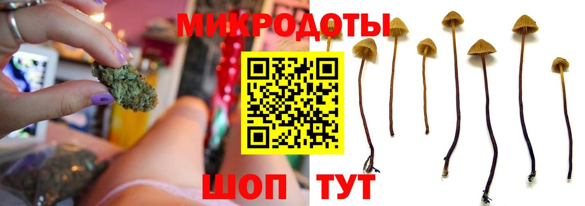 Псилоцибиновые грибы MAGIC MUSHROOMS Дятьково