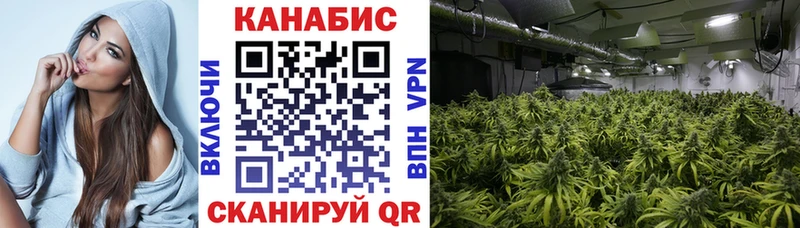 где найти наркотики  Дятьково  Каннабис VHQ 